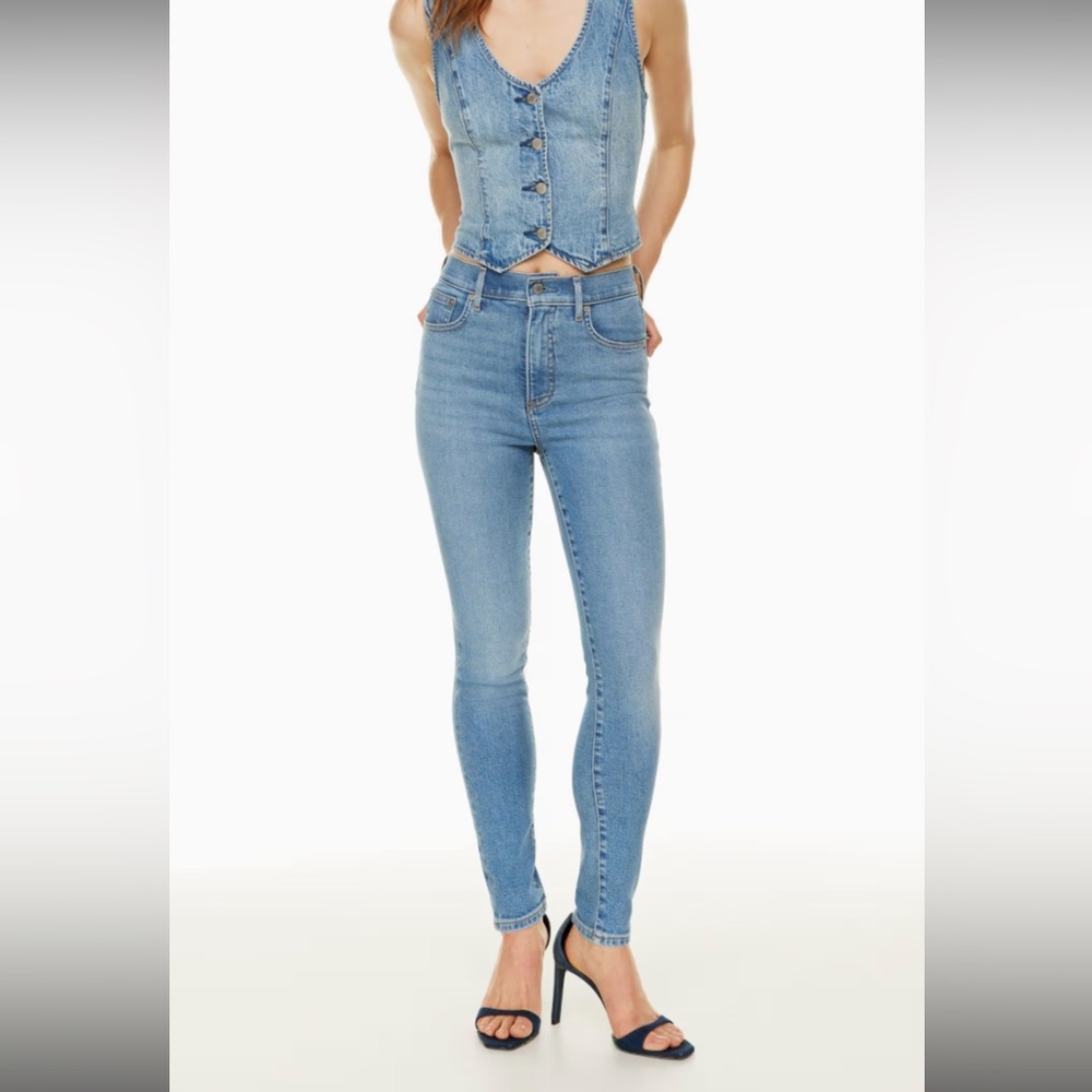 Aritzia Denim Forum - The Lola High Rise Skinny Jean